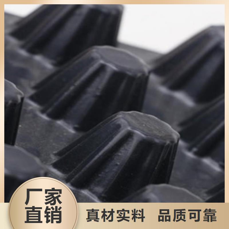 塑料排水板-排蓄水板土工布种类齐全
