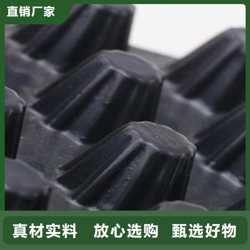 塑料排水板排蓄水板土工布追求品质