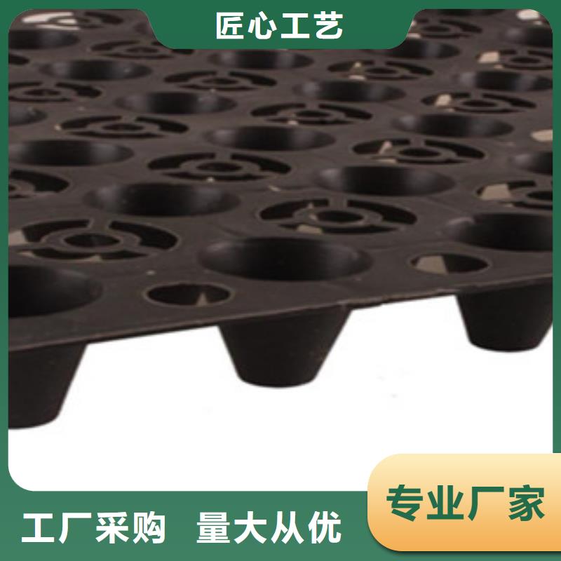 塑料排水板塑料排水板HDPE凹凸滤水板优质货源