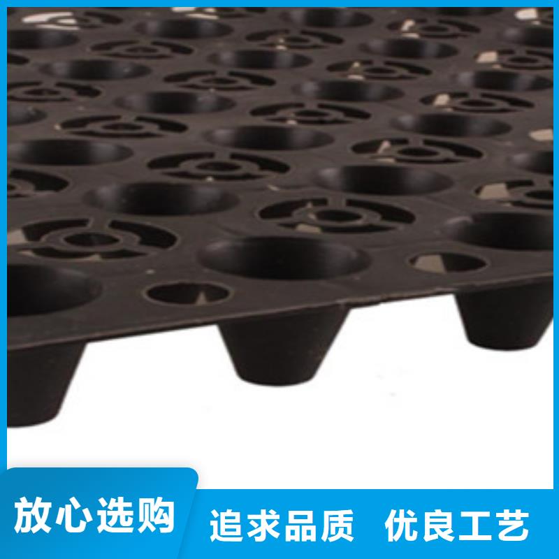 塑料排水板车库顶板虹吸排水收集系统原厂制造