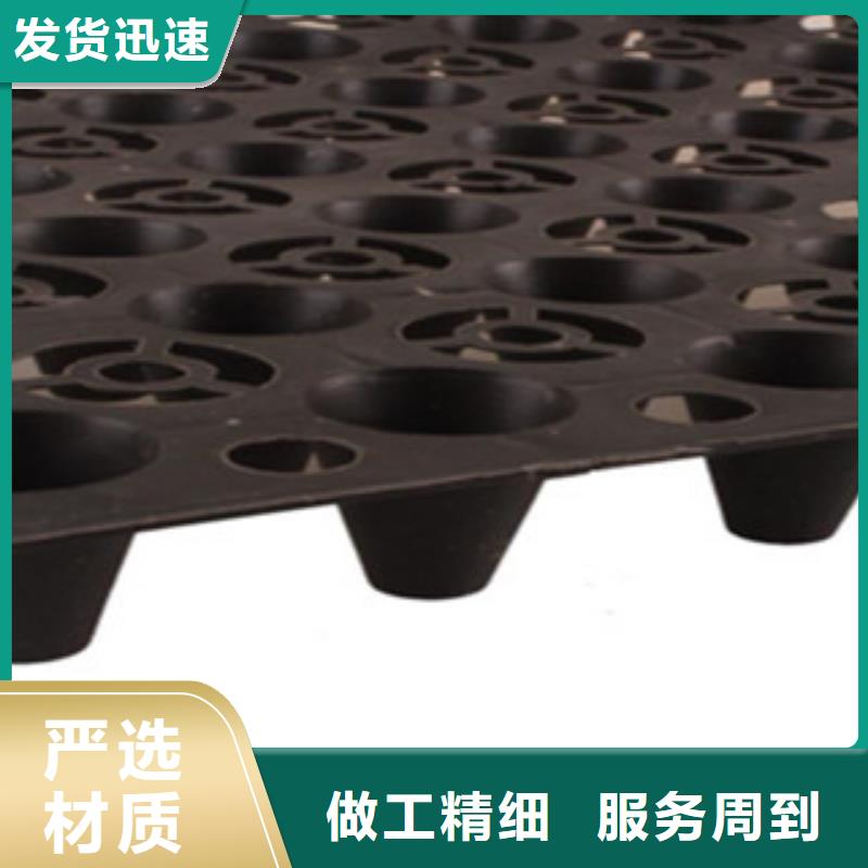 塑料排水板排蓄水板土工布追求品质