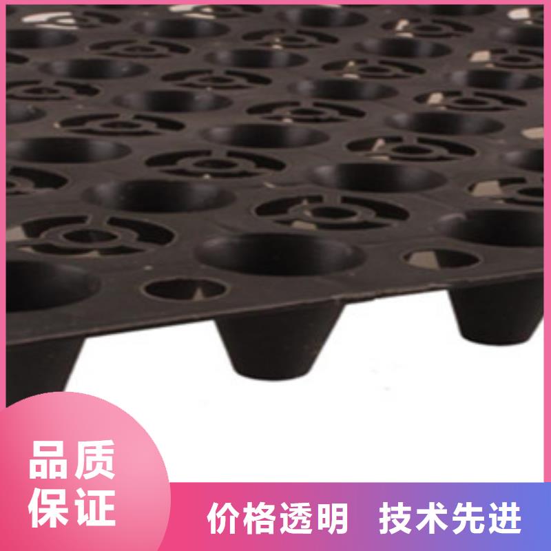塑料排水板屋顶绿化排水板土工布好货直销