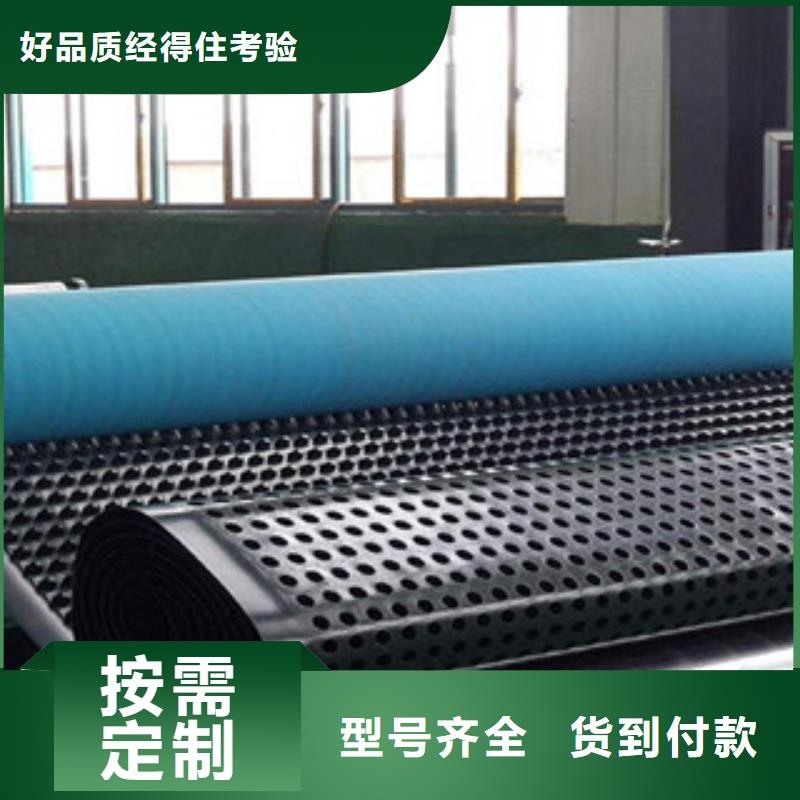 塑料排水板_疏水板凹凸型卷材防排水板有实力有经验