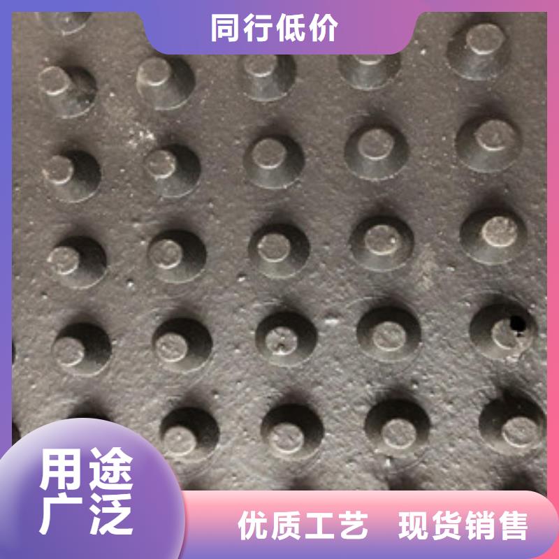 塑料排水板排蓄水板土工布追求品质