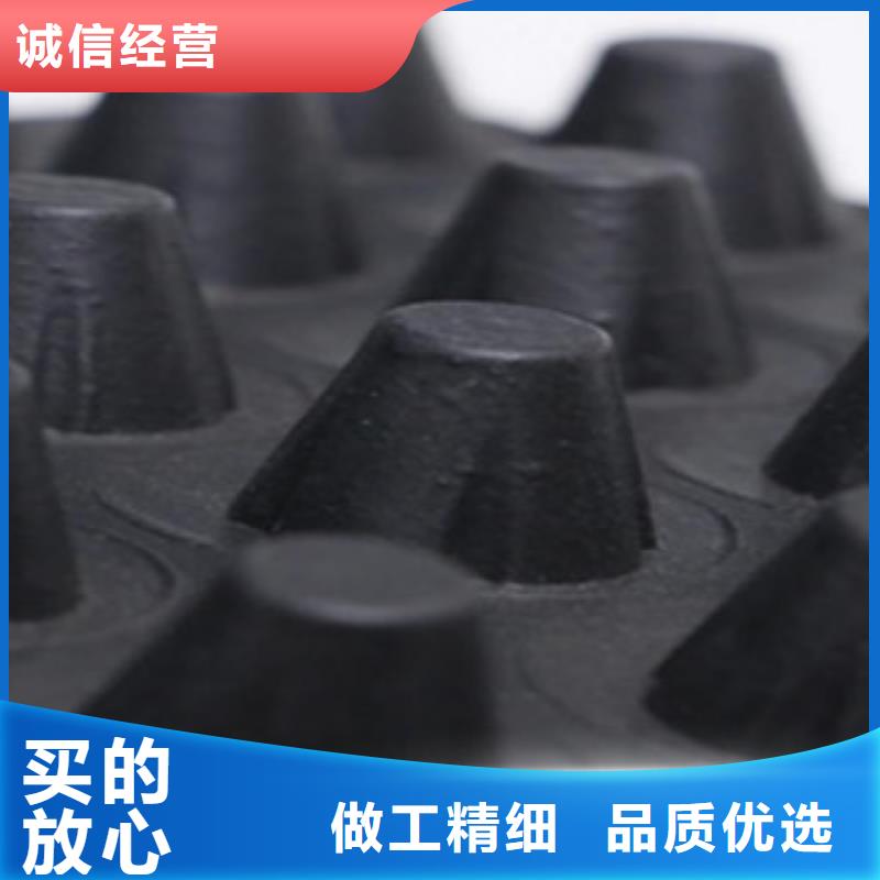 塑料排水板H20塑料排水板导水板多行业适用