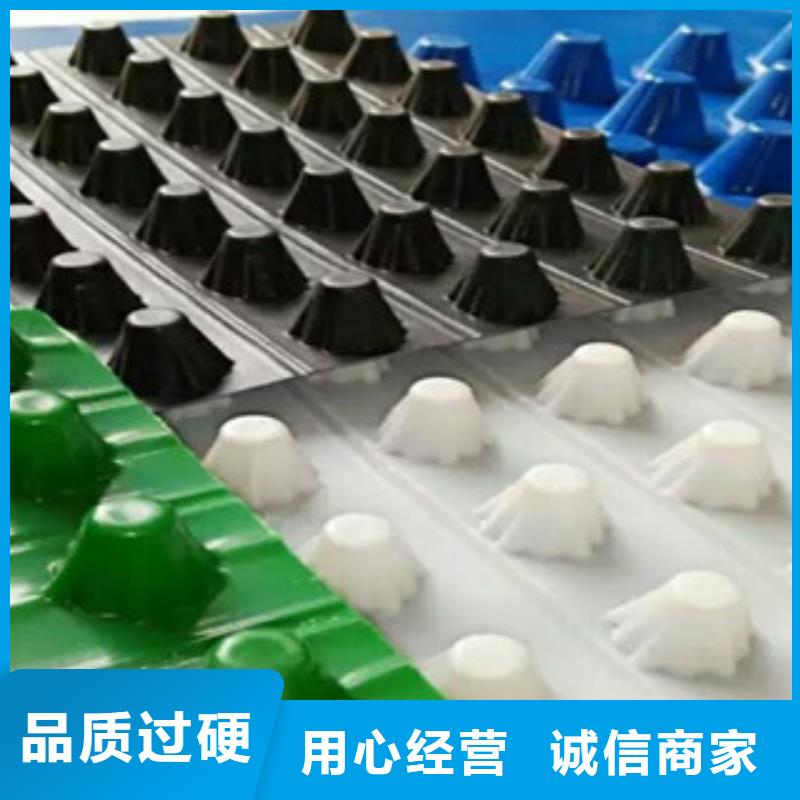塑料排水板屋顶绿化排水板土工布好货直销