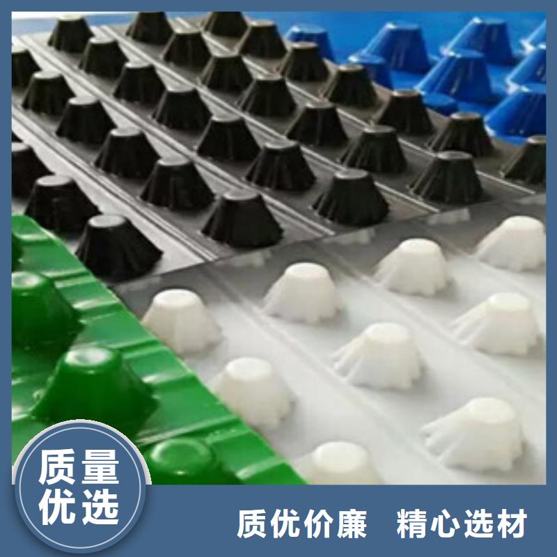 塑料排水板排水板疏水板滤水板精工细致打造