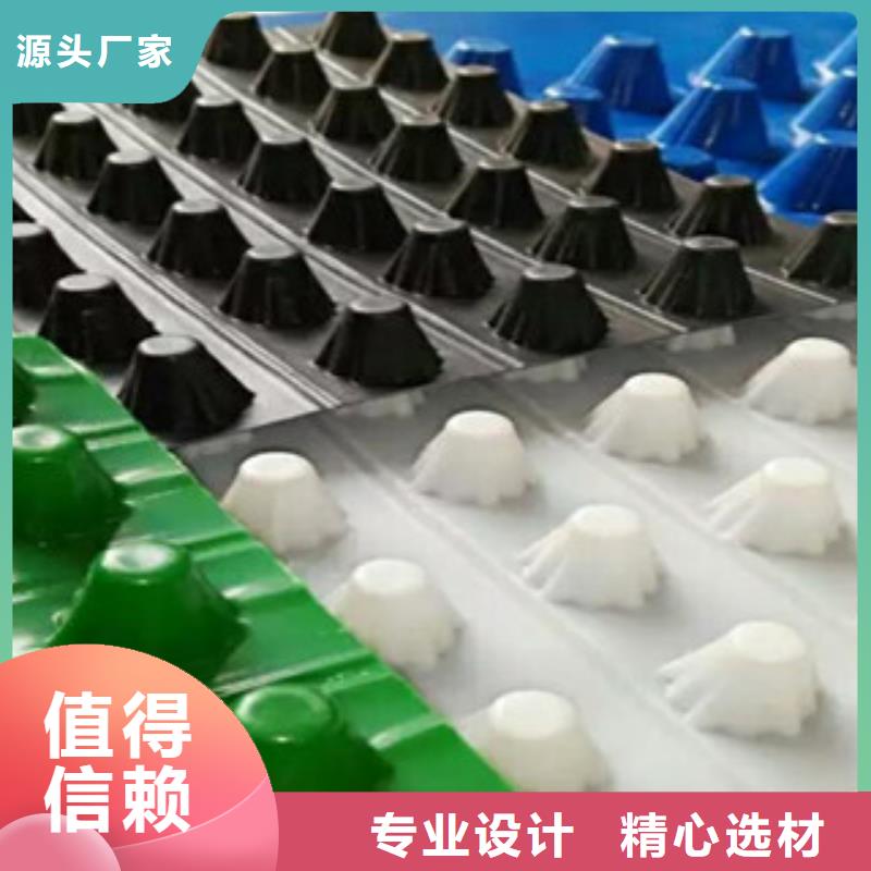 塑料排水板-排水板蓄水排水板大库存无缺货危机