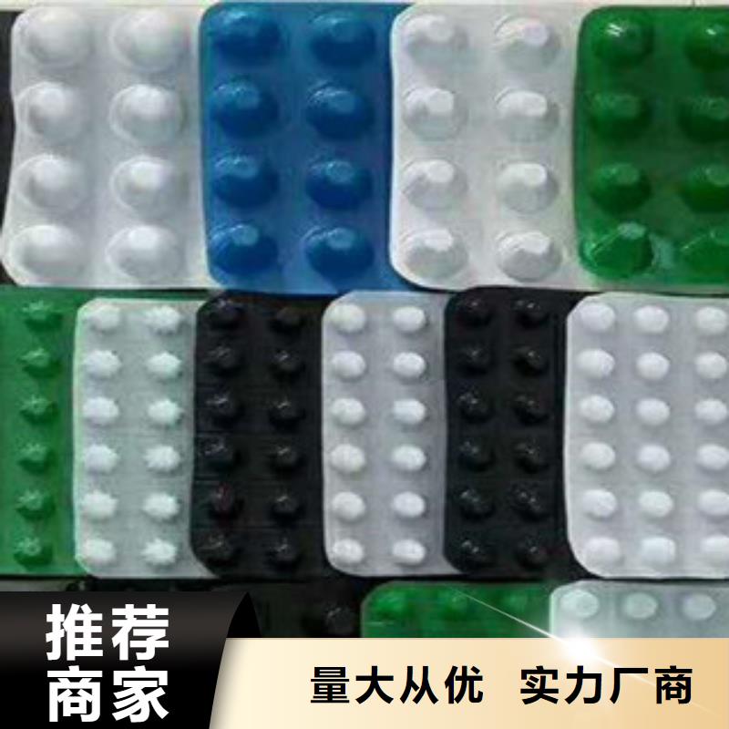 塑料排水板排蓄水板土工布追求品质