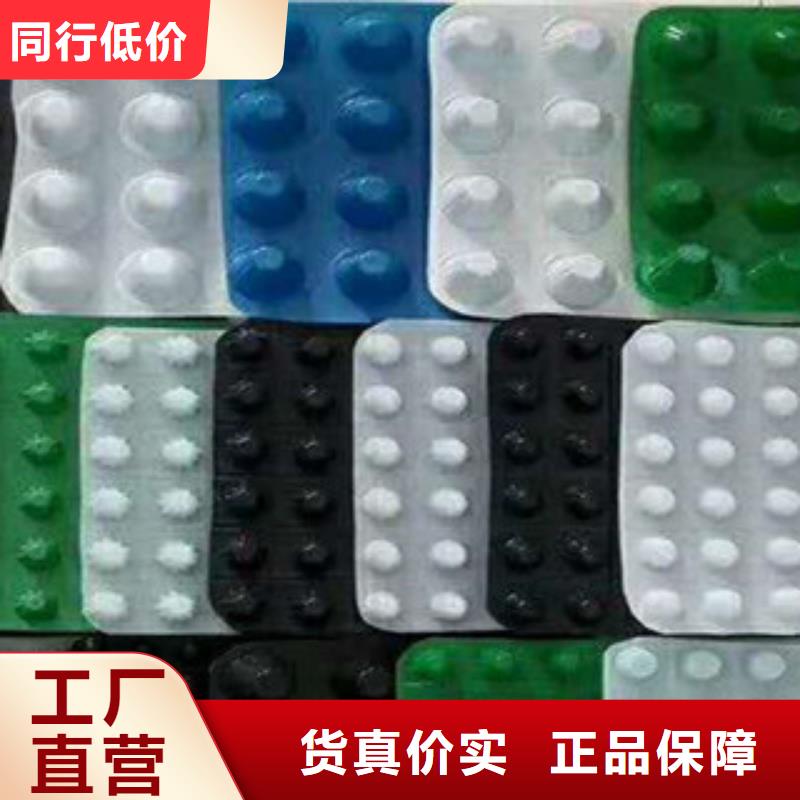 塑料排水板屋顶绿化排水板土工布好货直销