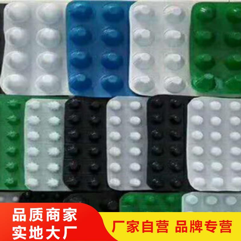塑料排水板_虹吸滤水板排水板精致工艺