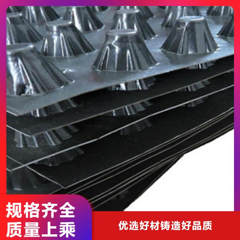 塑料排水板_疏水板凹凸型卷材防排水板有实力有经验