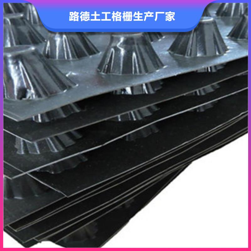 塑料排水板排蓄水板土工布追求品质