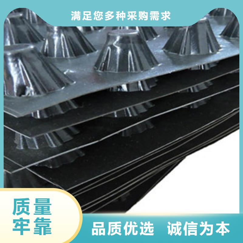 塑料排水板-排蓄水板土工布种类齐全