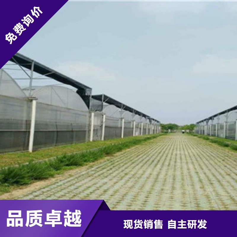 大棚管,高压合金管实力商家供货稳定