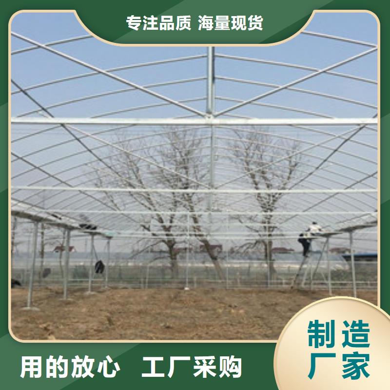 大棚管,高压合金管实力商家供货稳定