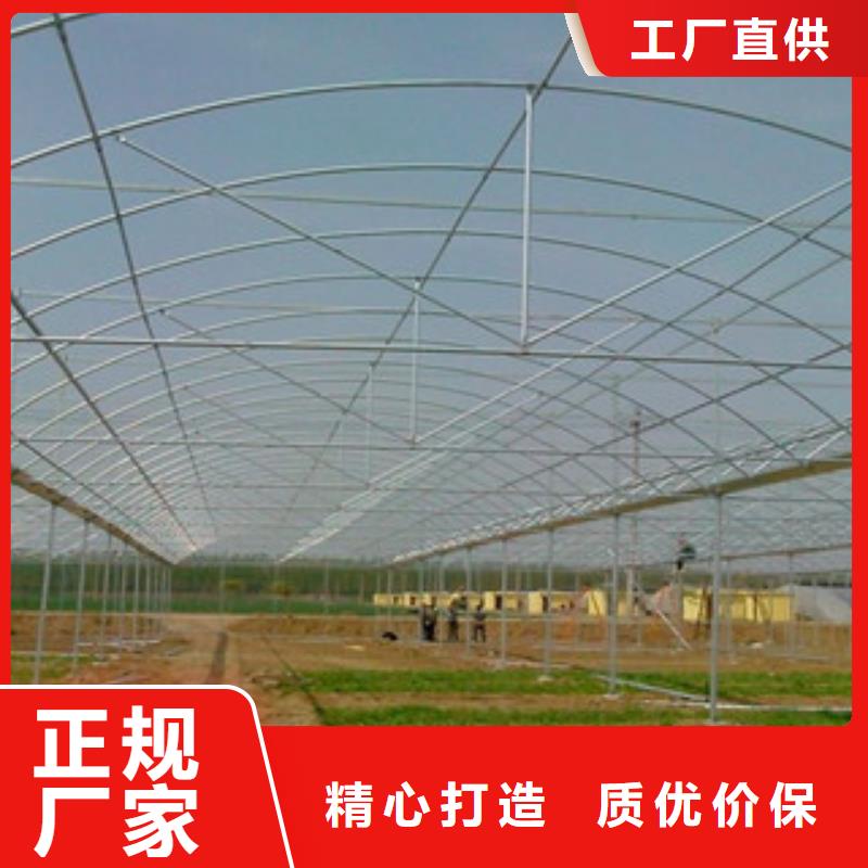 大棚管,高压合金管实力商家供货稳定