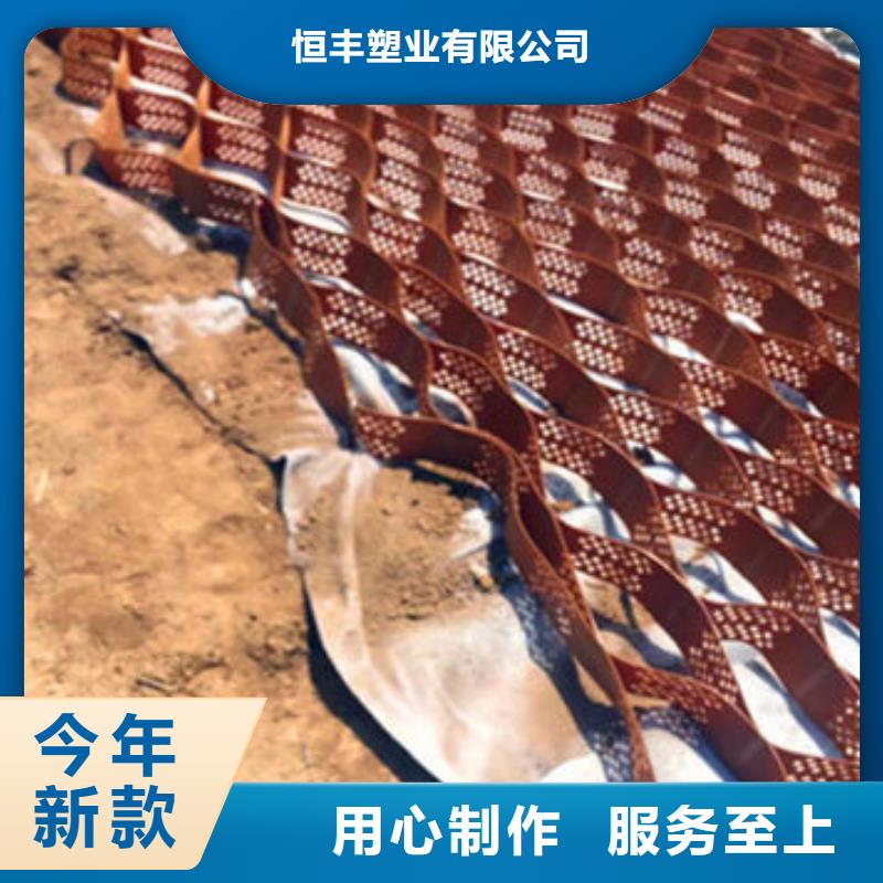 蜂巢格室玻璃纤维土工格栅工艺精细质保长久