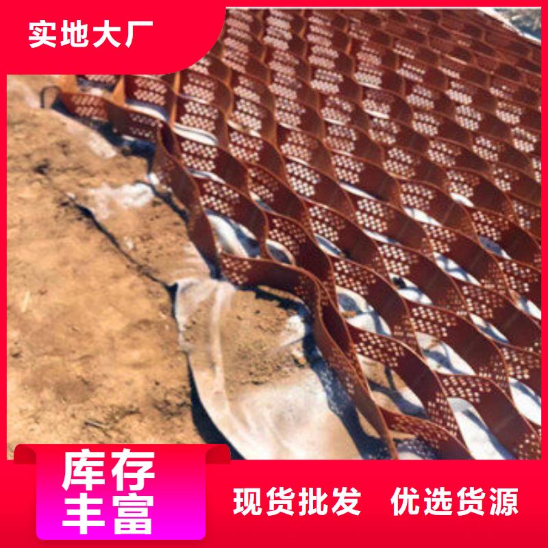 蜂巢格室玻璃纤维土工格栅工艺精细质保长久