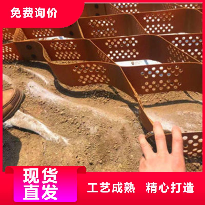 蜂巢格室 土工格室我们更专业