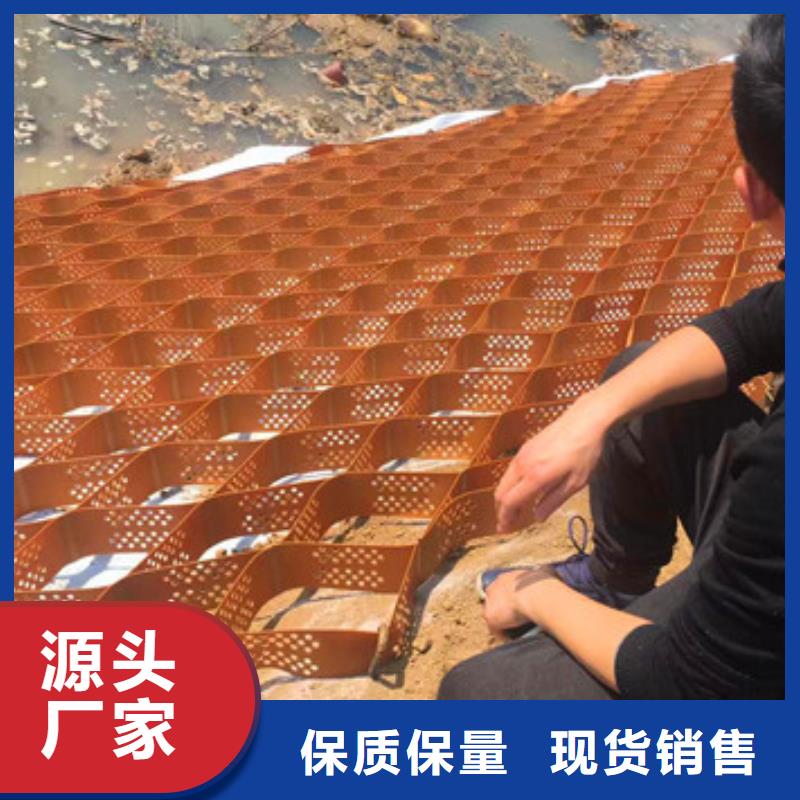 蜂巢格室玻璃纤维土工格栅工艺精细质保长久