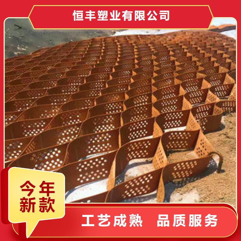 蜂巢格室玻璃纤维土工格栅工艺精细质保长久
