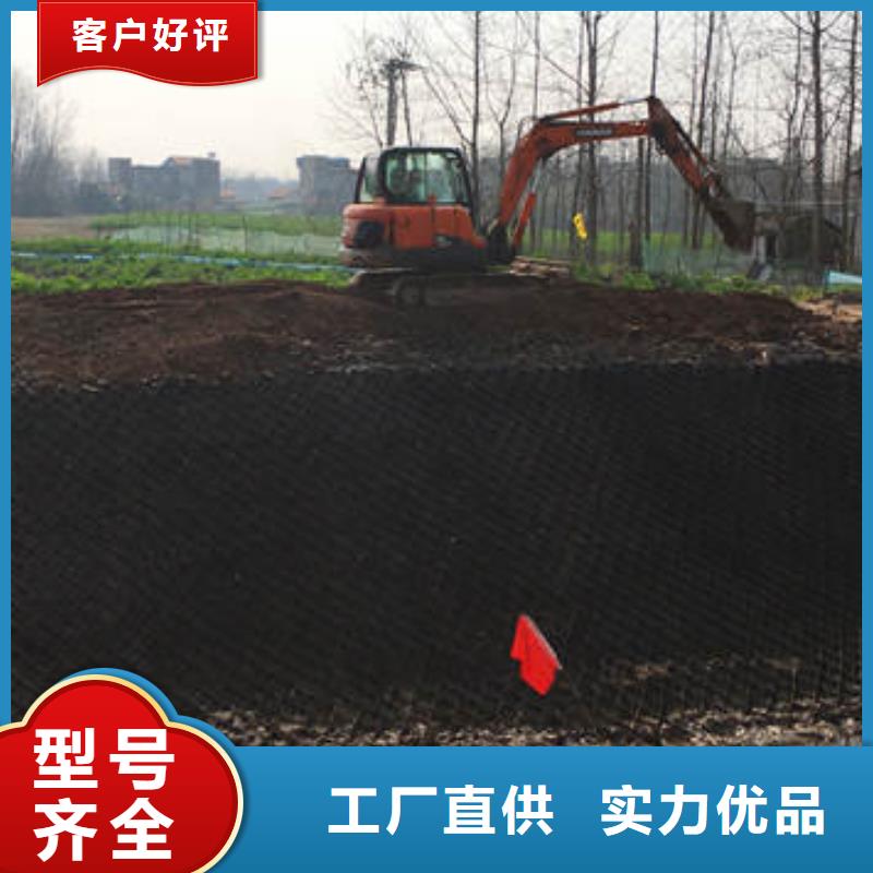蜂巢格室玻璃纤维土工格栅工艺精细质保长久