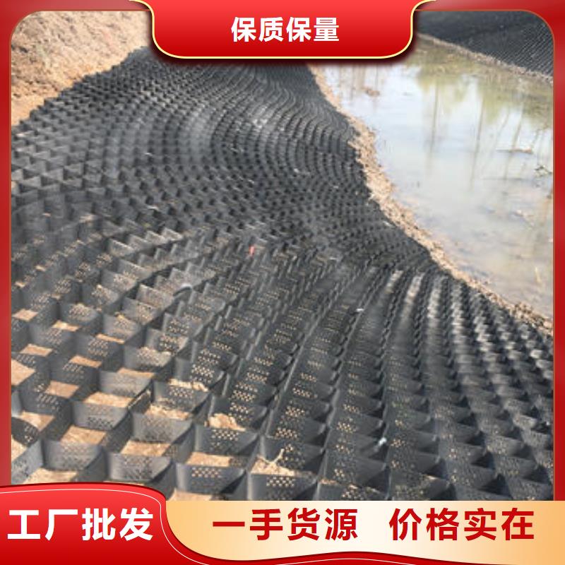 蜂巢格室玻璃纤维土工格栅工艺精细质保长久