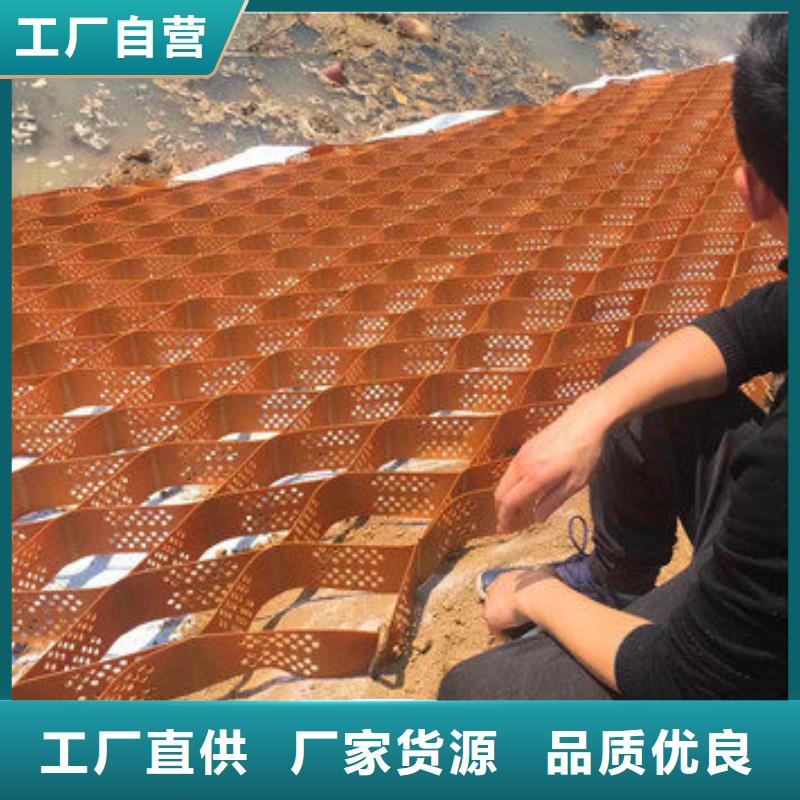 蜂巢格室玻璃纤维土工格栅工艺精细质保长久