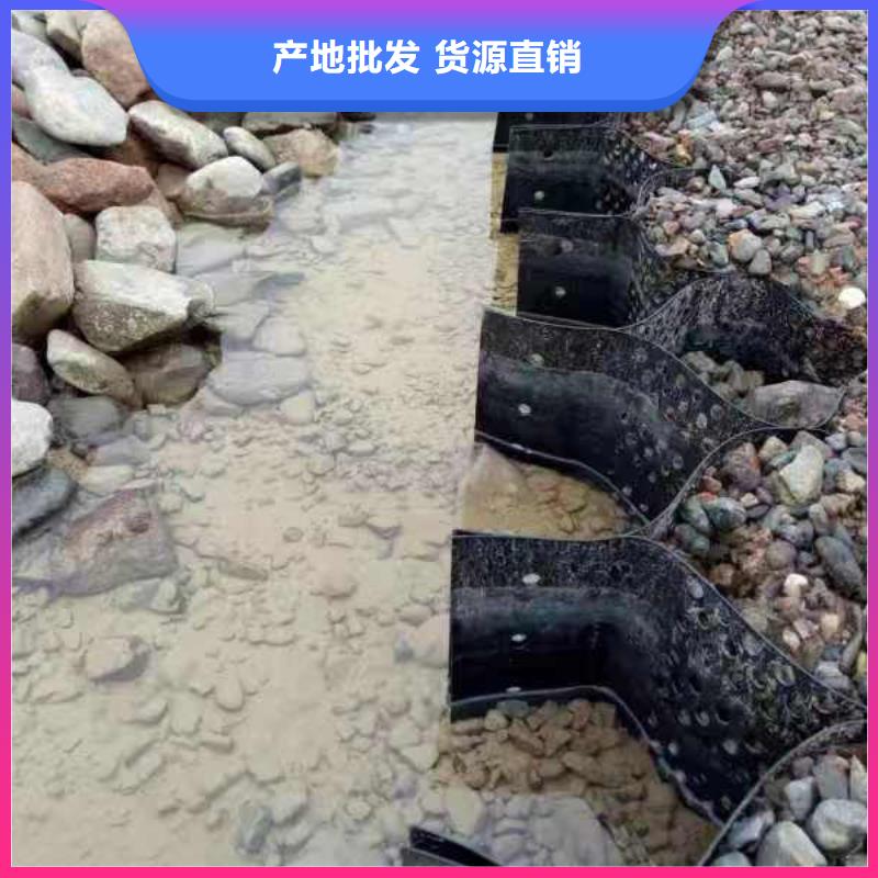 蜂巢格室 土工格室我们更专业