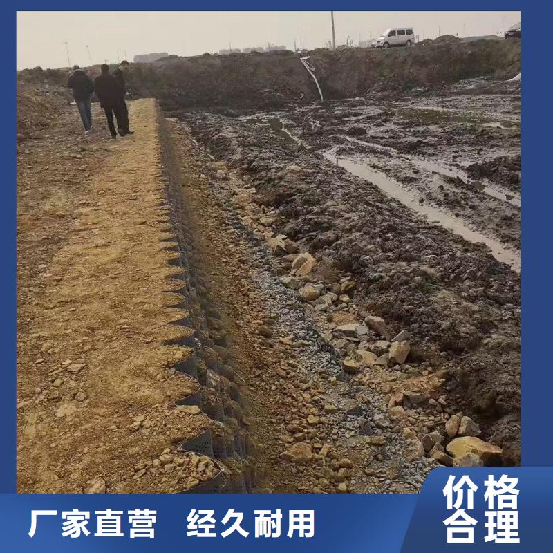 蜂巢格室_双向土工格栅品质好才是硬道理