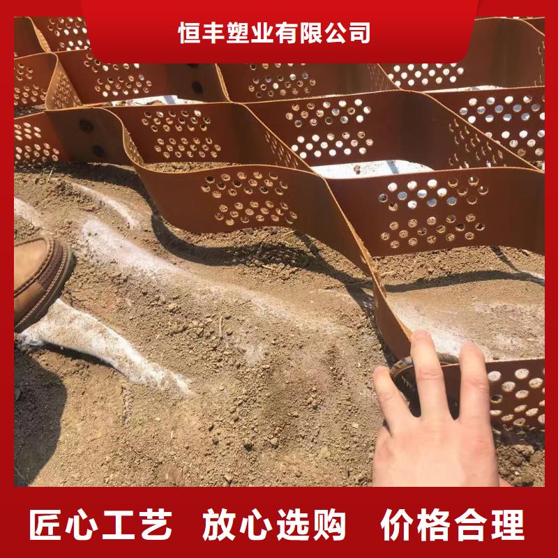 蜂巢格室玻璃纤维土工格栅工艺精细质保长久