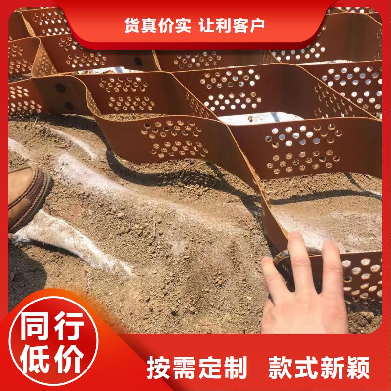 蜂巢格室_双向土工格栅品质好才是硬道理