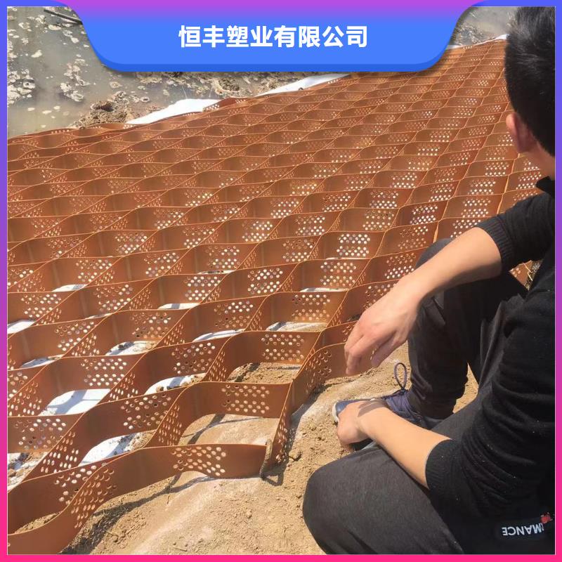 蜂巢格室玻璃纤维土工格栅工艺精细质保长久
