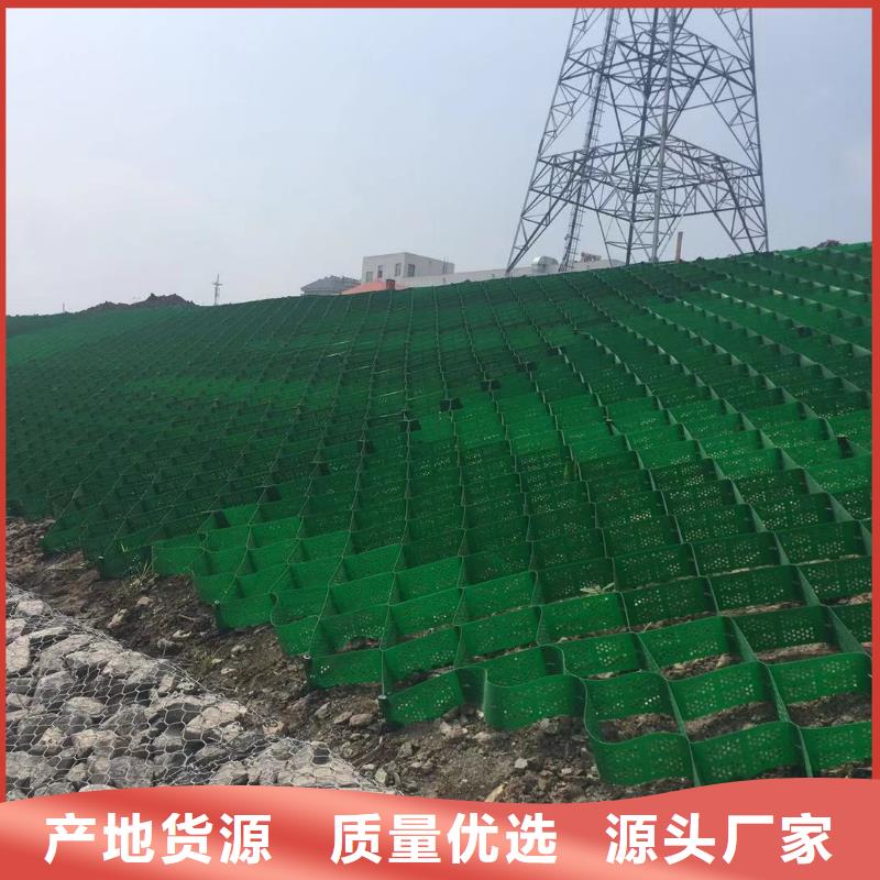 蜂巢格室 土工格室我们更专业