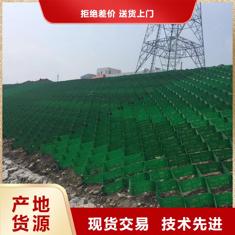蜂巢格室玻璃纤维土工格栅工艺精细质保长久