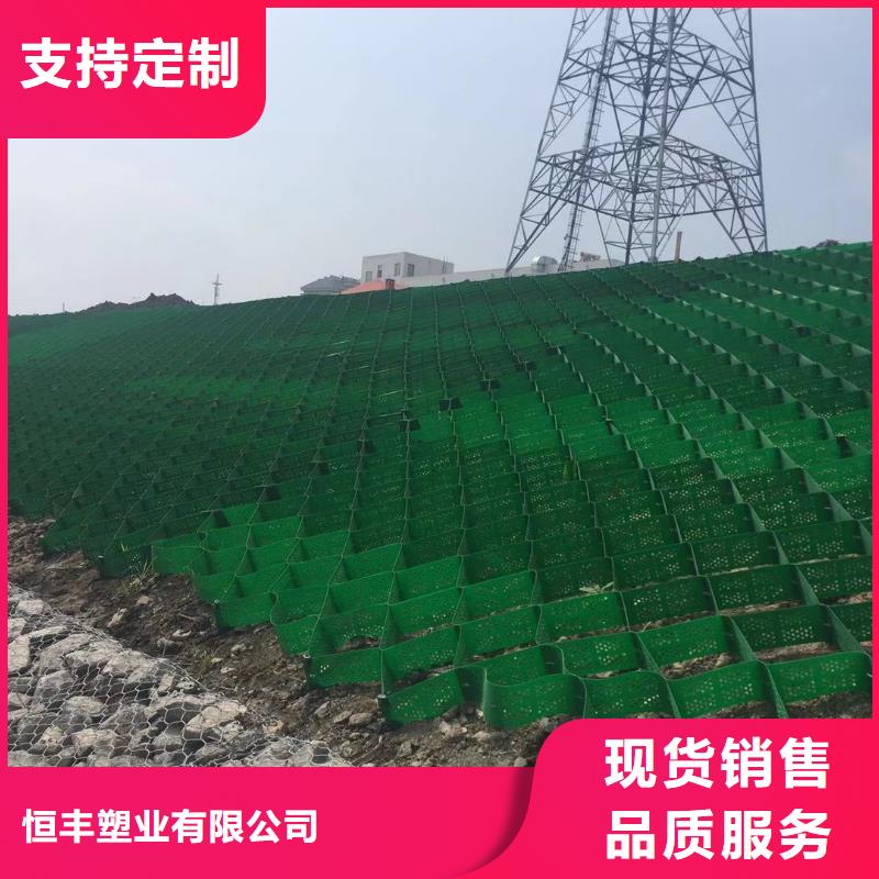蜂巢格室玻璃纤维土工格栅工艺精细质保长久