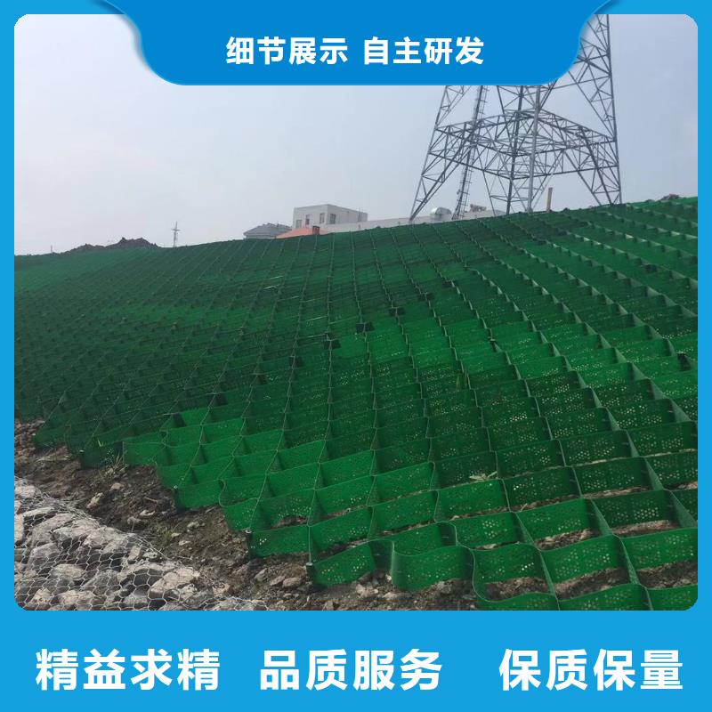 蜂巢格室_双向土工格栅品质好才是硬道理