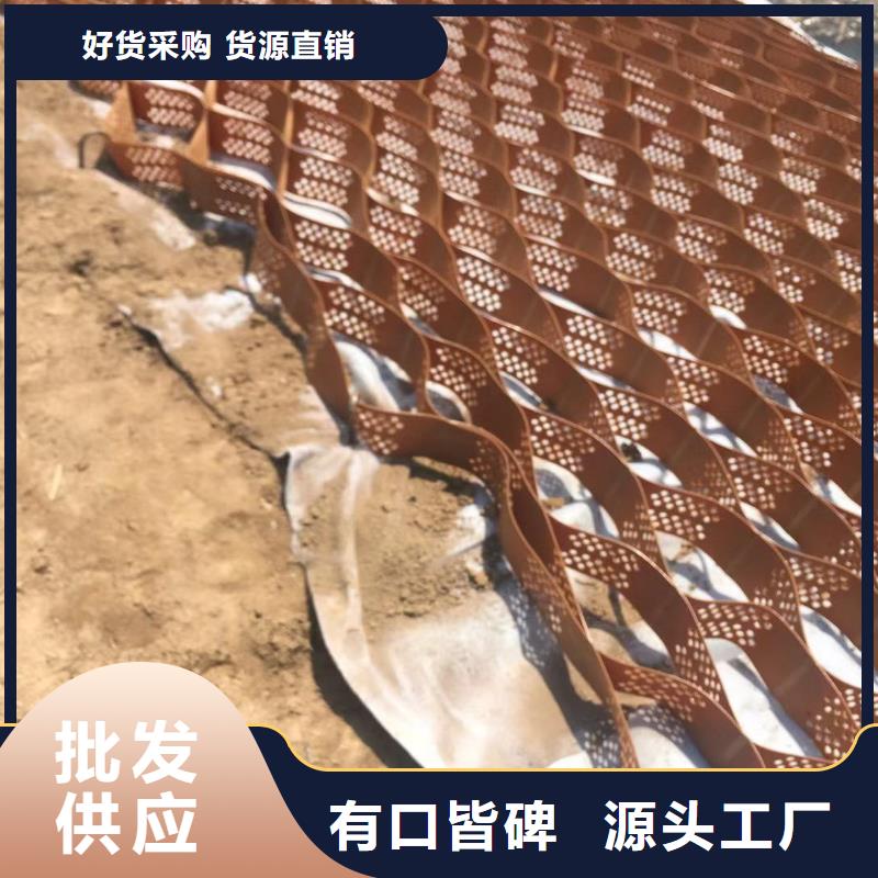 蜂巢格室玻璃纤维土工格栅工艺精细质保长久