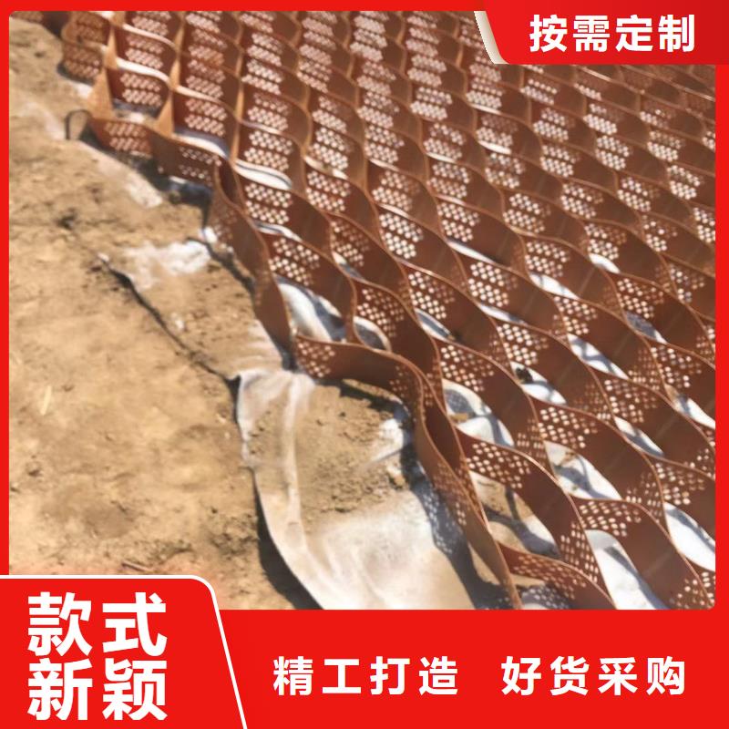 蜂巢格室 土工格室我们更专业