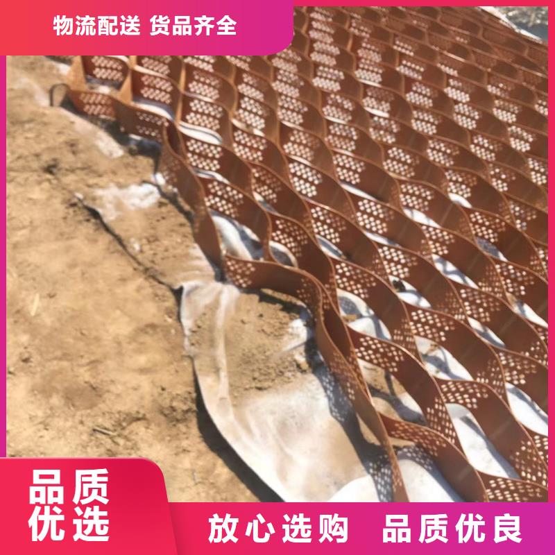 蜂巢格室玻璃纤维土工格栅工艺精细质保长久