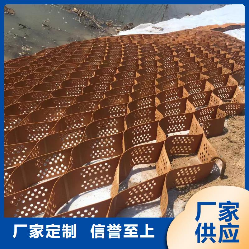 蜂巢格室玻璃纤维土工格栅工艺精细质保长久