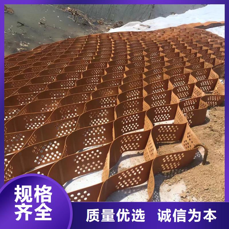 蜂巢格室 土工格室我们更专业