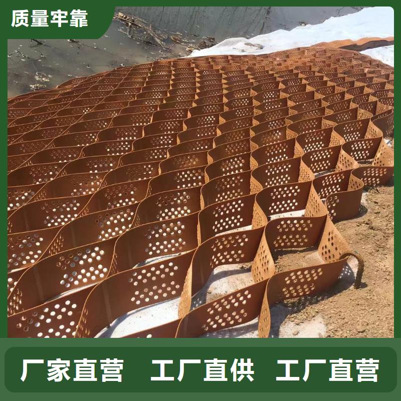 蜂巢格室 土工格室我们更专业