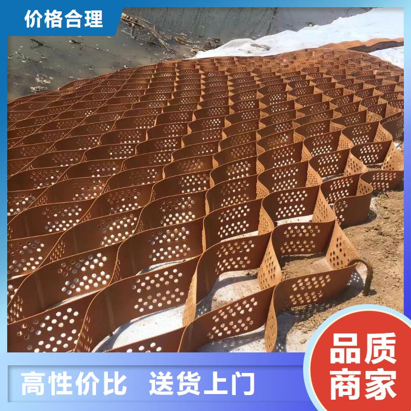 蜂巢格室玻璃纤维土工格栅工艺精细质保长久