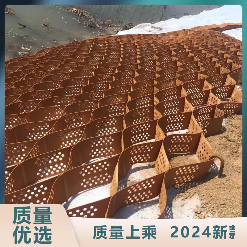 蜂巢格室玻璃纤维土工格栅工艺精细质保长久