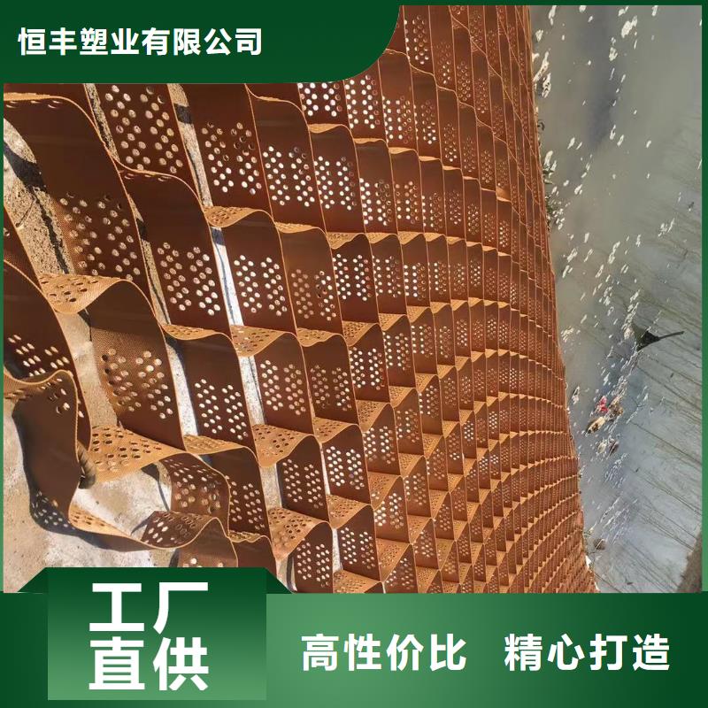 蜂巢格室 土工格室我们更专业