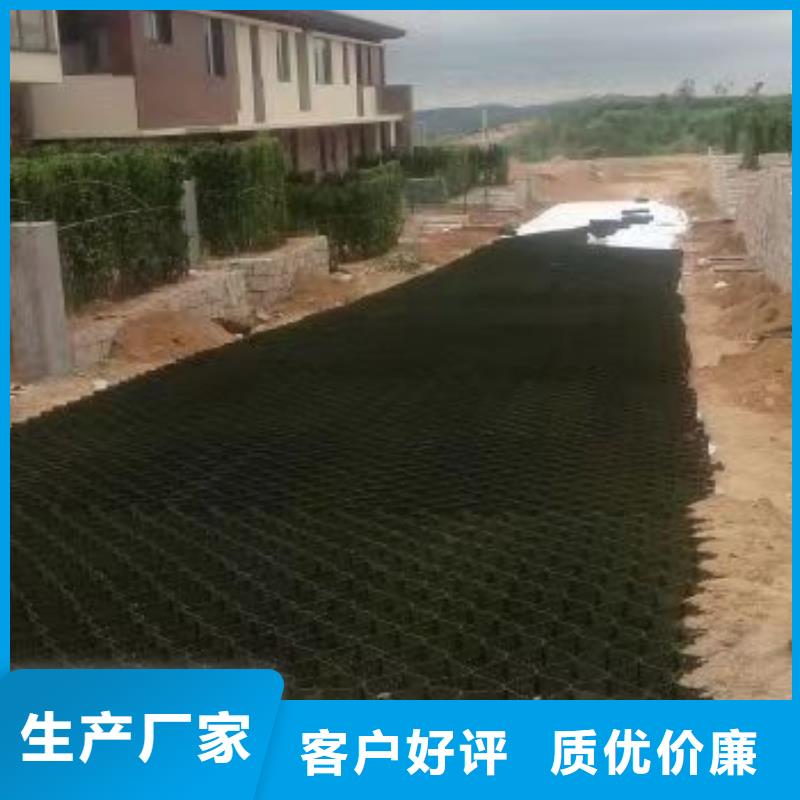 蜂巢格室 土工格室我们更专业