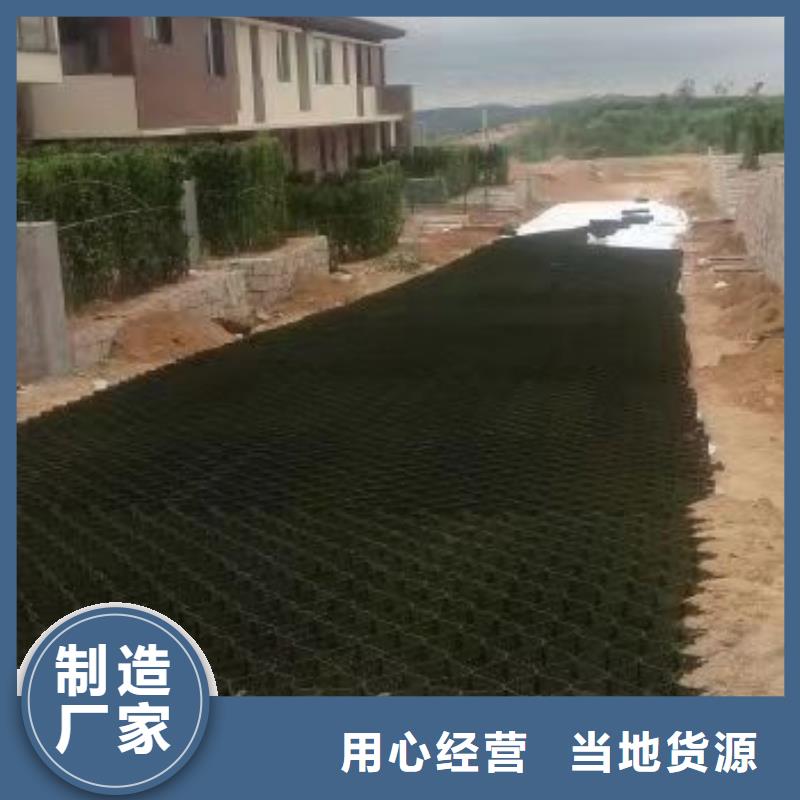 蜂巢格室_双向土工格栅品质好才是硬道理