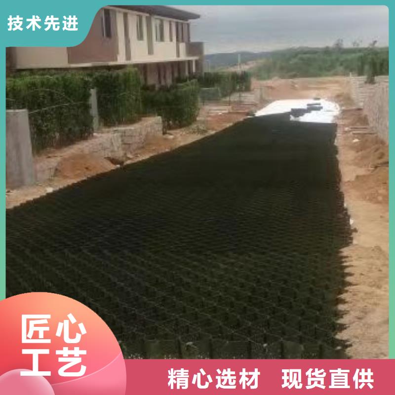 蜂巢格室玻璃纤维土工格栅工艺精细质保长久